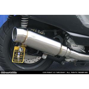 THUNDERBIKE（サンダーバイク） WirusWin THUNDER250 (XL250S