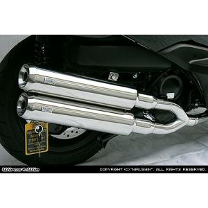THUNDERBIKE（サンダーバイク） WirusWin THUNDER250 (XL250S