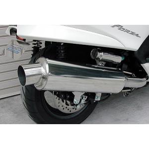 THUNDERBIKE（サンダーバイク） WirusWin THUNDER250 (XL250S