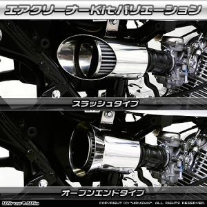 Harley Davidson（ハーレー・ダビッドソン） ツインカム・エンジン周り