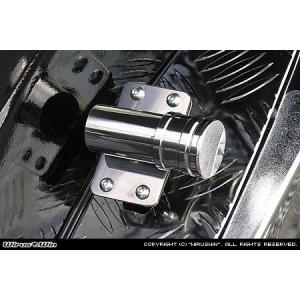 WirusWin フュージョン フットブレーキバー エレガントタイプ