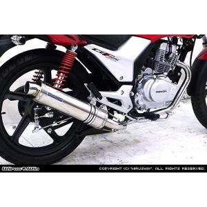 WirusWin ウイルズウィン PCX JK05用 サイレンサー型エアクリーナーキット ユーロタイプ ブラックカーボン仕様 WirusWin PCX 2BJ-JK05サイレンサー型エアクリーナーkit ユーロタイプ