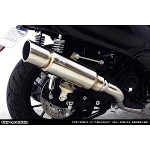 WirusWin アドレスV50(JBH-CA44A) O2センサー有 テイストマフラー