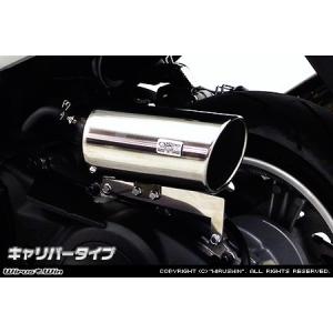 WirusWin ウイルズウィン PCX JK05用 サイレンサー型エアクリーナーキット ユーロタイプ ブラックカーボン仕様 WirusWin PCX 2BJ-JK05サイレンサー型エアクリーナーkit ユーロタイプ
