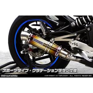 WirusWin シグナスX 3型 (国内仕様：SE44J O2センサー無) レーシング