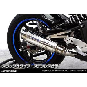 GSX250E/400E ゴキ アウトバーンタイプ テールカウル : エーシーピー