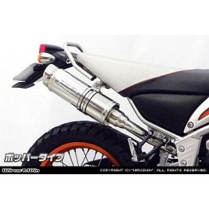 Ninja WirusWin ZX-25R【8BK-ZX250H】ZX-4R・ZX-4RR【8BL-ZX400P