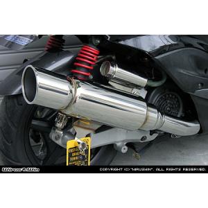 ハイパフォーマンスマフラー ウイルズウィン（WirusWin） シグナスX（3