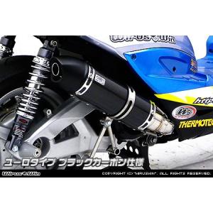 WirusWin YBR125用 ダイナミックマフラー /ウイルズウィン : エスエス
