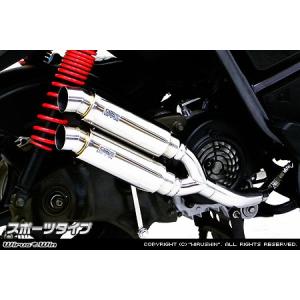 WirusWin ジョグ(SA55J)・ジョグZR(SA56J) ハイパフォーマンス