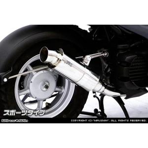 WirusWin SYM RV125i用 ステップマフラー /ウイルズウィン