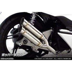 THUNDERBIKE（サンダーバイク） WirusWin THUNDER250 (XL250S