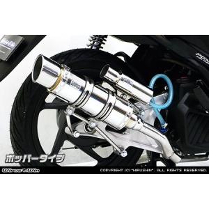 THUNDERBIKE（サンダーバイク） WirusWin THUNDER250 (XL250S