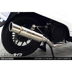 WirusWin（ウイルズウィン） ダンク(AF74)用テイストマフラー ダンク