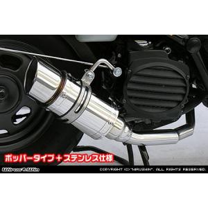 WirusWin ズーマー シャープマフラー/ウイルズウィン Zoomer WirusWin ズーマー シャープマフラー/ウイルズウィン Zoomer