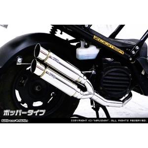 BEAMS（ビームス） バイク用 マフラー ズーマー50 BA - AF58 フルエキ