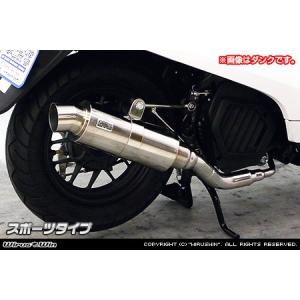 WirusWin アドレスV50(JBH-CA44A) O2センサー有 ロイヤルマフラー