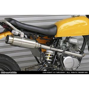 WirusWin エイプ50 ロッドショート マフラー/ウイルズウィン