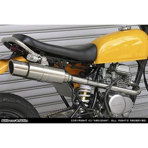 エイプ50 AC16 ウィルズウィン　ロッドショートマフラー キャブ車 WirusWin エイプ50 ロッドショート マフラー/ウイルズウィン
