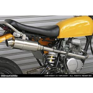 WirusWin エイプ50 テイストアップ マフラー/ウイルズウィン