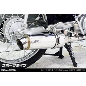 WirusWin アドレスV50(JBH-CA44A) O2センサー有 ロイヤルマフラー