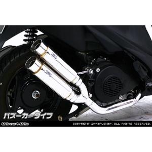 WirusWin アドレスV125 ハイパフォーマンス マフラー/ウイルズウィン