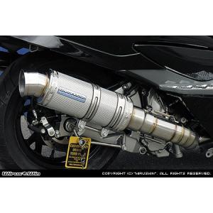 WirusWin スカイウェイブ250(CJ43) アトミックショートマフラー