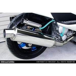 スカイウェイブ BEAMS マフラー BEAMS マフラー 送料無料 ビームス スカイウェイブ250 CJ44