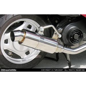 SYM RV125i wirus winマフラー 楽天市場】WirusWin SYM RV125i用 ファーストマフラー /ウイルズウィン