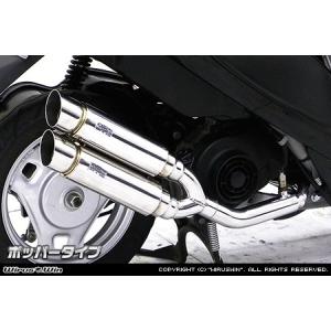 THUNDERBIKE（サンダーバイク） WirusWin THUNDER250 (XL250S