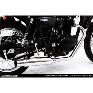 WirusWin 250TR(BA-BJ250F・キャブ車) ドラッグバイソン マフラー