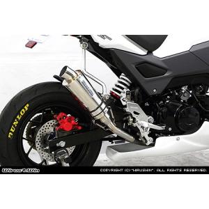 WirusWin D-TRACKER125・KLX125 レーシングマフラー ポッパータイプ/ D