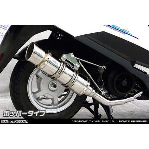 THUNDERBIKE（サンダーバイク） WirusWin THUNDER250 (XL250S