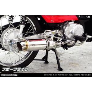 ロイヤルマフラー ステンレス スポーツタイプ ウイルズウィン