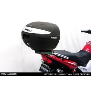 WirusWin ニンジャ Ninja250R(EX250K) バックレスト付き タンデムバー