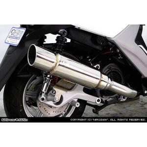 WirusWin エリミネーター250V(BA-VN250A) 後期型 グランドシャープ