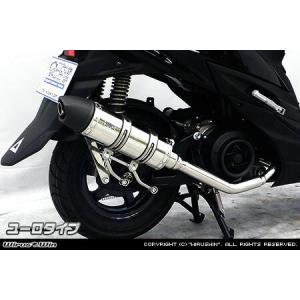 WirusWin YBR125用 ダイナミックマフラー /ウイルズウィン : エスエス