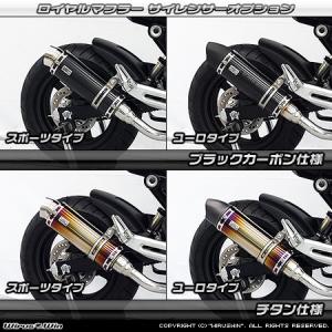 WirusWin アドレスV50(BA-CA42A)O2センサー無し テイスト マフラー