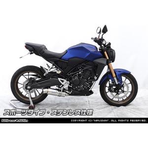 ラスト1 アクラポビッチ CB250R CB300R スリップオンラインマフラー AKRAPOVIC (アクラポビッチ) スリップオンライン (カーボン