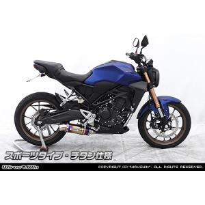 CB250R 18-21 MC52 WR’S フルエキマフラー CB250R 18-21 MC52 WR'S フルエキマフラー 2018-2021 CB250R