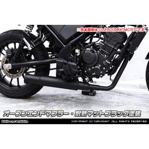 WirusWin SYM RV125i用 ファーストマフラー /ウイルズウィン