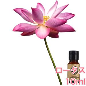 ロータス (ハス 蓮)  精油10ml - エッセンシャルオイル アロマオイル - LINE友だちクーポン - アロマディフューザー アロマキャンドルにもオススメ