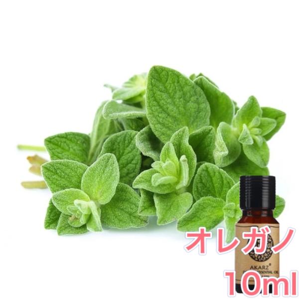オレガノ 精油10mL - エッセンシャルオイル アロマオイル - LINE友だちクーポン - アロ...