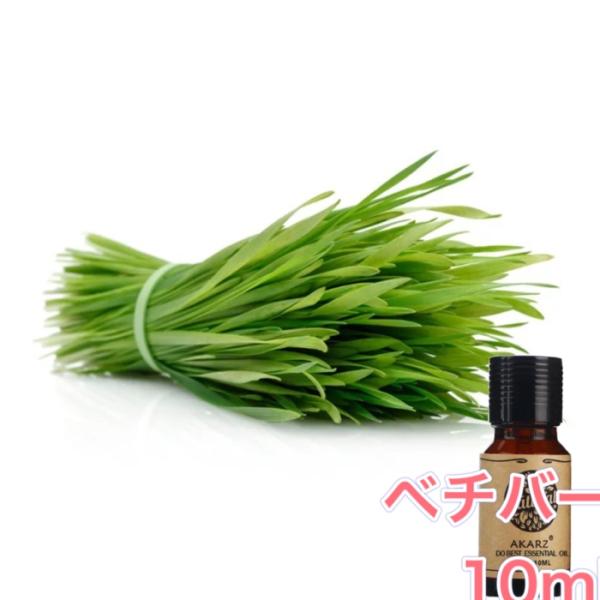 ベチバー 精油10mL - エッセンシャルオイル アロマオイル - LINE友だちクーポン - アロ...