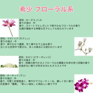 ヘリクリサム 種 ダイエット 健康グッズ の商品一覧 通販 Yahoo ショッピング