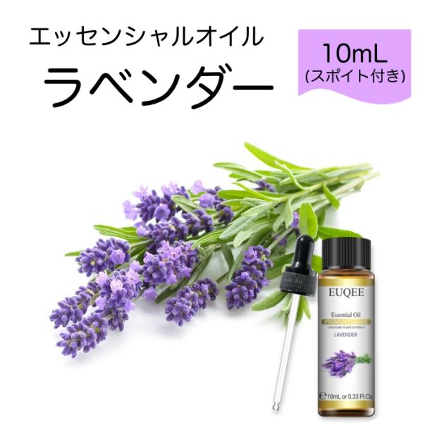 真正ラベンダー Lavandula officinalis スポイト付 10mL EUQEE 高品質...
