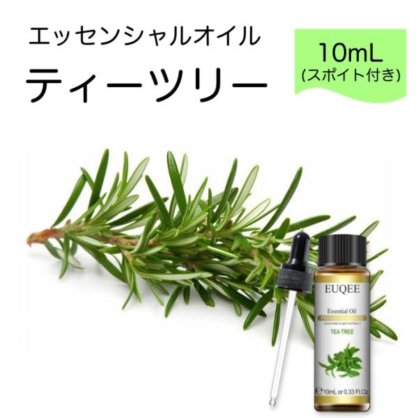 ティーツリー ティートゥリー Melaleuca alternifolia スポイト付 10mL E...