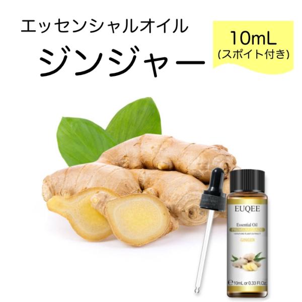 ジンジャー 生姜 Zingiber officinalis スポイト付 10mL EUQEE 高品質...