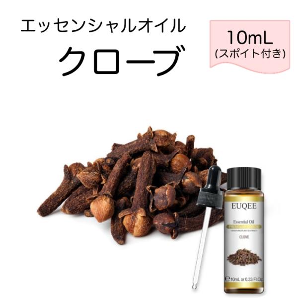 クローブ Eugenia caryophyllata スポイト付 10mL EUQEE 高品質 PR...
