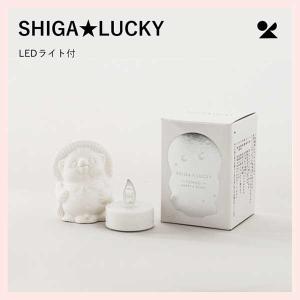 （2個セット）SHIGA★LUCKY (LEDライト付)  日本製 信楽焼 信楽たぬき 滋賀　lucky-02｜sshana